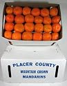 Satsuma Mandarins Placer County California 10 Pound Box (Ripe Fruit You Must Select Expedited Shipping)