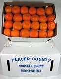 Satsuma Mandarins Placer County California Grown 25 pound box