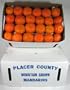 Satsuma Mandarins Placer County California Grown 25 Pound Box (Ripe Fruit Expedited Shipping Suggested)