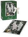 USAopoly Kim Anderson Seeing is Believing Puzzle