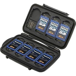 0910 SD/miniSD Memory Card Case