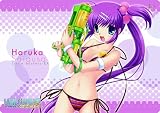 ���g���o�X�^�[�Y! �G�N�X�^�V�[ �f�X�N�}�b�gF(�O�} �t����) �摜