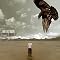 The next As I Lay Dying?