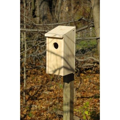 Flicker Bird House