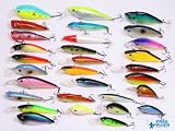 30 tlg. Wobbler Set Rassel-Wobbler (On Sale,OSDL04)