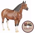 Poker Joe Horse w/DVD