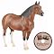Poker Joe Horse w/DVD