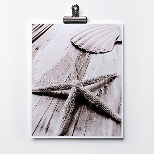 Starfish Shell Print Black & White Photo Nautical Decor Beach Cottage Wall Art Sepia by Mike Smith Photo