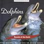 Dolphins: Above The Waves