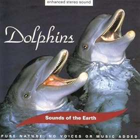 Dolphins: Above The Waves
