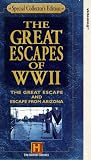 The Great Escapes Of World War II [VHS] [1997]
