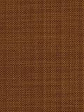 Robert Allen RA Botkier - Adobe Fabric
