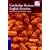 Cambridge Business English Activities: Serious Fun for Business English Students (Cambridge Copy Collection)