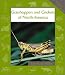 Book Grasshoppers and Crickets of North America (Animals in Order)