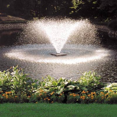 Scott Display Pond Aerator - 1/2 HP, 115 Volt, 70-Ft. Power Cord, Model# DA-20