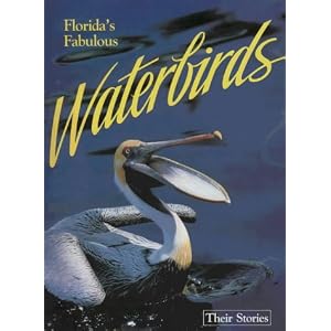 Click here to buy Florida's Fabulous Waterbirds: Their Stories by Winston Williams.