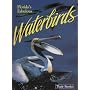 Florida's Fabulous Waterbirds: Their Stories