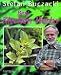 Books : Best Kitchen Herbs (Best Gardening)