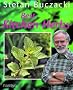Best Kitchen Herbs (Best Gardening)