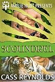 Scoundrel (Emerald Isle Tigers Book 1)