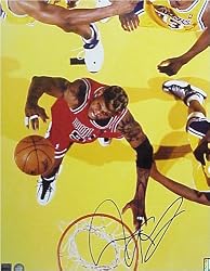 Dennis Rodman Signed 16 X 20 Photo Action Chicago Bulls (Rebounding) - Authentic Autographed