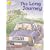 Oxford Reading Tree: Robins Pack 1: The Long Journey