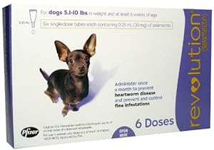 Revolution Canine (Purple) - 5.1-10 lbs - 6 count
