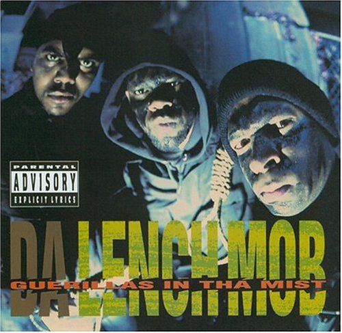 CD-Charts  Music : Guerillas in tha Mist