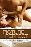 Picture Perfect