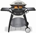 Weber Q300 Gas Grill Barbecue