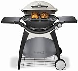 WEBER Q 300
