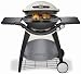 WEBER Q 300