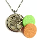 Diffuser Necklace, Denee Aromatherapy Essential Oil Diffuser Necklace Jewelry, Hypo-Allergenic 316L Surgical Grade Stainless Steel Locket Pendant with 24