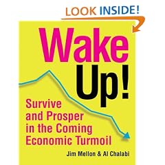 Wake Up!: Survive and Prosper in the Coming Economic Turmoil