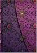Books : Violet Wrap (Smythe Sewn Address Books)
