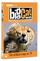 Big Cat Week - Series 3 [DVD]