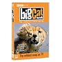 Big Cat Week - Series 3