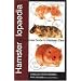 Books for Veterinary Students