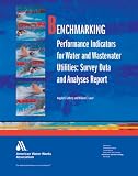 Benchmarking Performance Indicators for Water and Wastewater Utilities: Survey Data and Analyses Report
