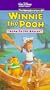 The New Adventures of Winnie the Pooh, Vol. 10: Pooh to the Rescue [VHS]