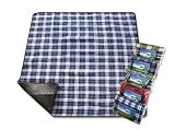 Astro Picnic Blanket Astro Picnic Blanket