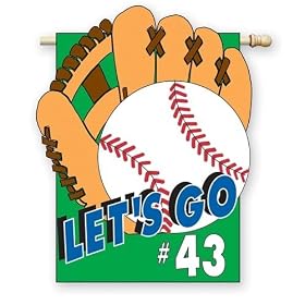 Baseball House Flag