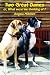 Two Great Danes: or What Were We Thinking Of?