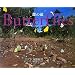 ���̓��\Butterflies