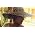 Thumbnail image of Melody Gardot