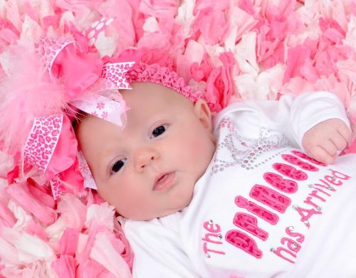 The Princess Has Arrived Newborn Take Home Outfit