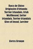 Race de Chien Originaire D'Irlande: Terrier Irlandais, Irish Wolfhound, Setter Irlandais, Terrier Irlandais Glen of Imaal, Lurcher