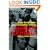 German Football: History, Culture, Society and the World Cup 2006