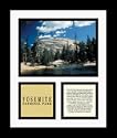 Yosemite National Park 13" x 11" Framed Photograph (NP79A-8E3)