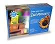 Grow Your Own Sunflowers Set
